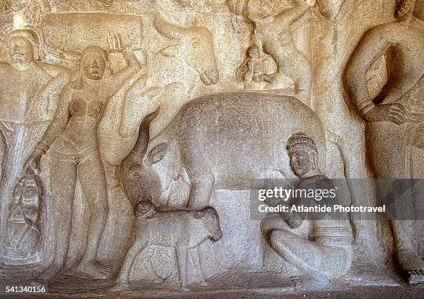 detail of relief panel in krishna mandapam at mamallapuram - man milking woman photos et images de collection