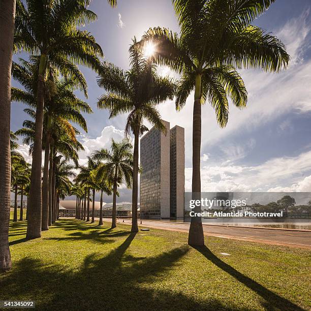 view near the national congress of brazil - brasília stock pictures, royalty-free photos & images