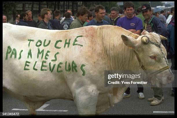 DEMONSTRATION IN PARIS TO SAVE CATTLE REARING