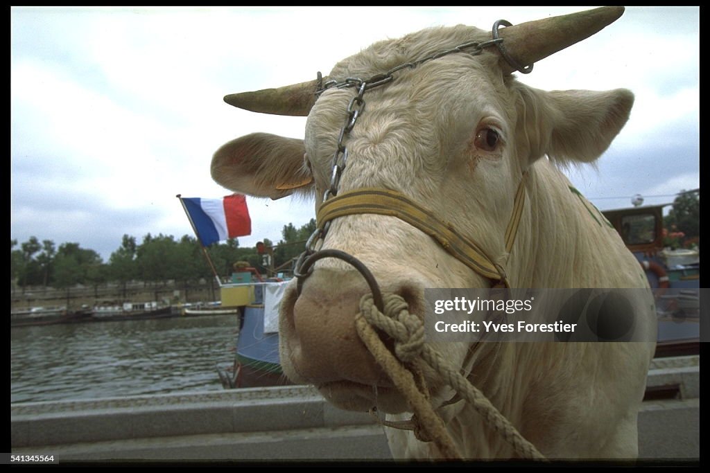 DEMONSTRATION IN PARIS TO SAVE CATTLE REARING