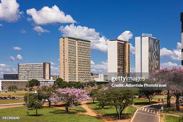 buildings - distrito-federal-brasilia stock-fotos und bilder