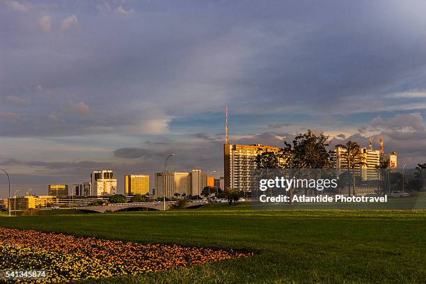 view near the brasilia tv tower - ブラジリア連邦直轄区 ストックフォトと画像