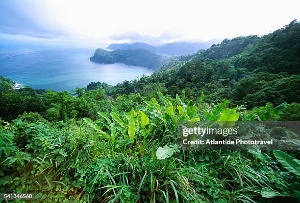 maracas bay in trinidad - trinité et tobago photos et images de collection