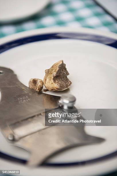 truffles - san miniato stockfoto's en -beelden