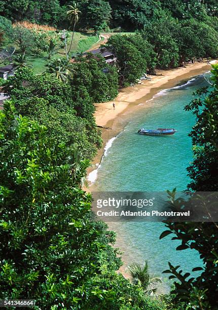 tobago - speyside - blue water inn - the beach - trinidad and tobago stock pictures, royalty-free photos & images