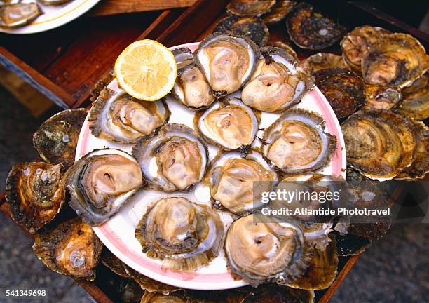 galicia - vigo oyster market - oysters - galicia stock pictures, royalty-free photos & images