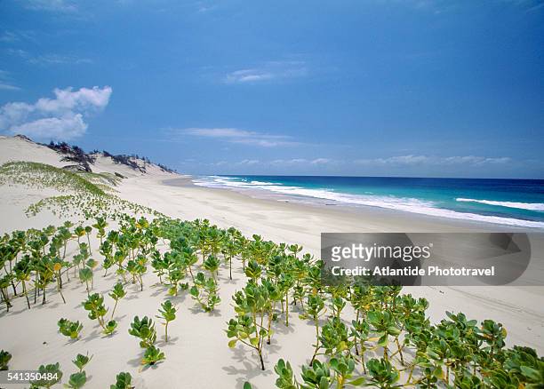 east coast of ilha do bazaruto - mozambique stock pictures, royalty-free photos & images