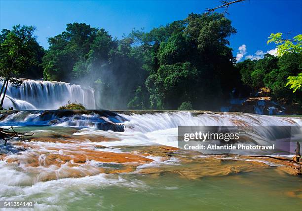 agua azul waterfalls in chiapas - agua azul stock pictures, royalty-free photos & images