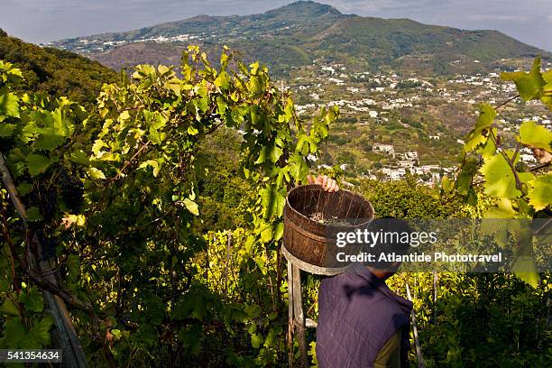 Barano Barano Photos and Premium High Res Pictures - Getty Images