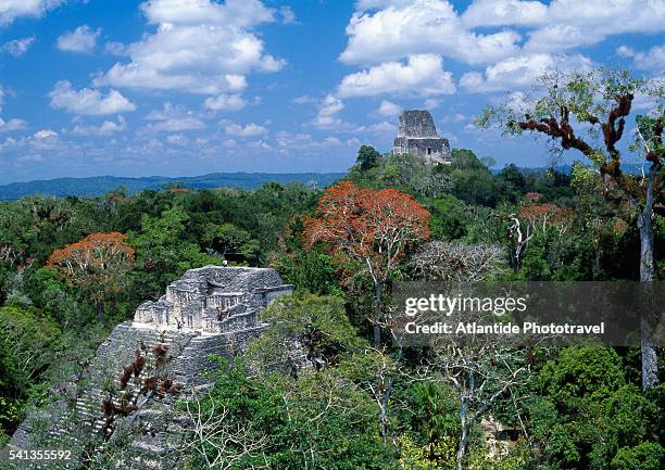 pyramid of el mundo perdido and temple iv - guatemala photos et images de collection