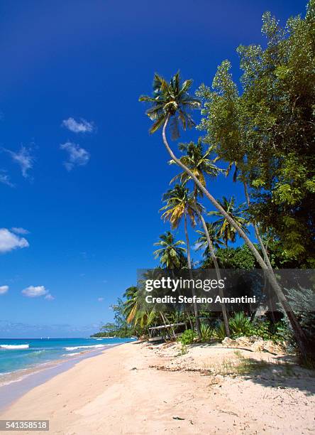 holetown beach, st james, barbados - barbados stock-fotos und bilder