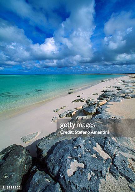 beach, turks and caicos islands, uk - turks and caicos stock pictures, royalty-free photos & images