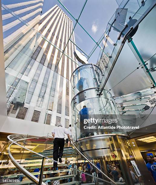 apple store in the fifth avenue - apple inc stock pictures, royalty-free photos & images