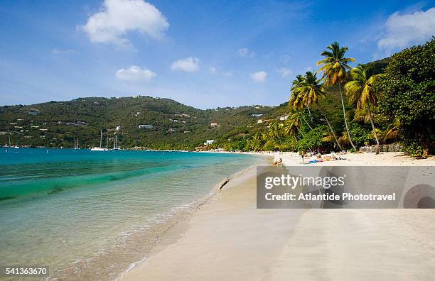 beach on cane garden bay - cane garden bay stock-fotos und bilder