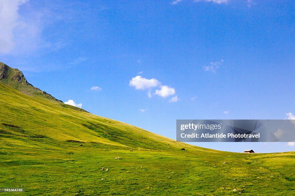 Mountain Landscape in Summer