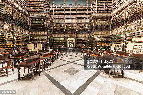 real gabinet portugues de leitura - leitura stockfoto's en -beelden