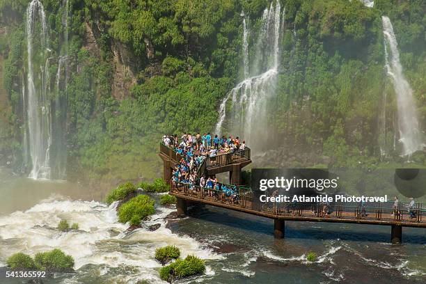 iguazu waterfall - foz do iguacu stock pictures, royalty-free photos & images