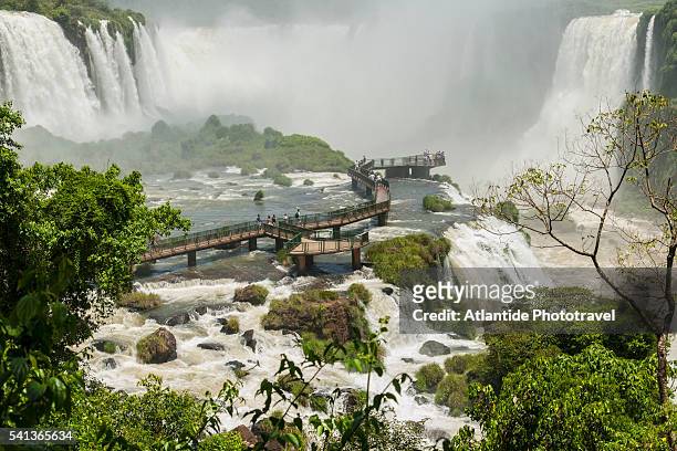 iguazu waterfall - foz do iguacu photos et images de collection