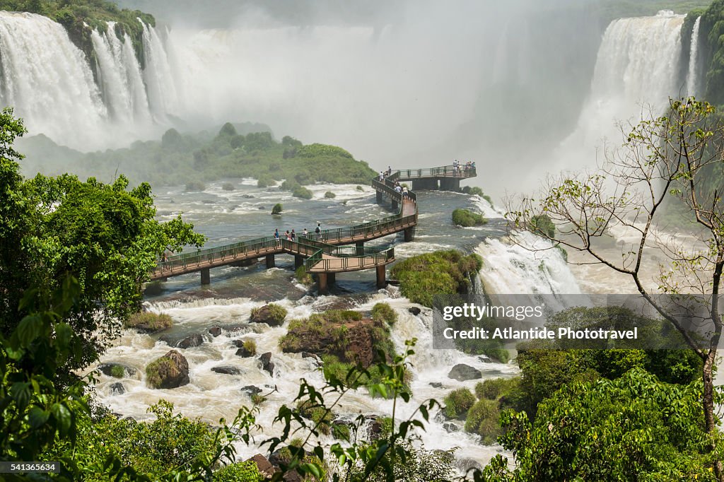 Iguazu Waterfall