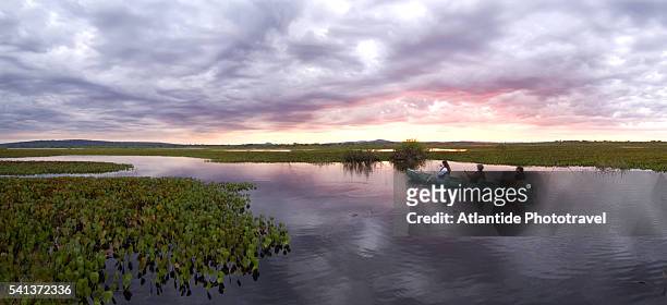 tourists canoeing in wetlands - pantanal wetlands stock-fotos und bilder
