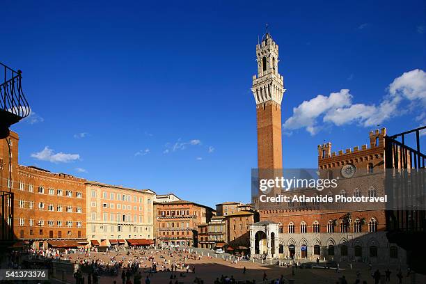 piazza del campo in siena - palazzo pubblico stock pictures, royalty-free photos & images