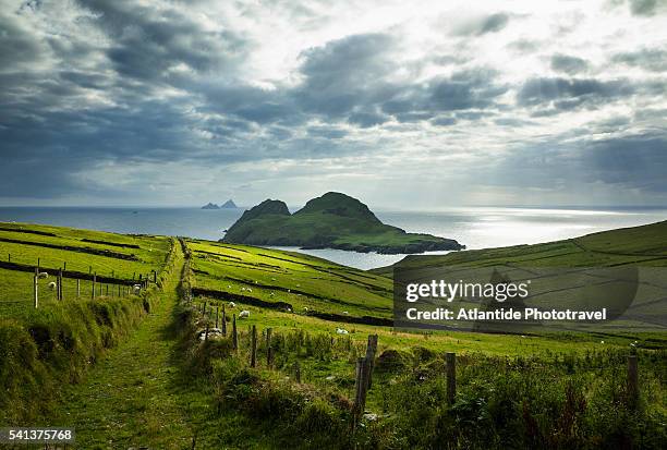 st. finian's bay, view of puffin island - verwaltungsbezirk county kerry stock-fotos und bilder