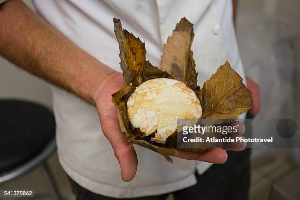 'banon cheese', cheese wrapped in chestnut leaves - french cheese stock pictures, royalty-free photos & images