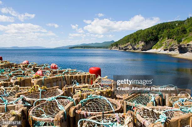 fish traps in forillon national park - gaspe peninsula stock pictures, royalty-free photos & images