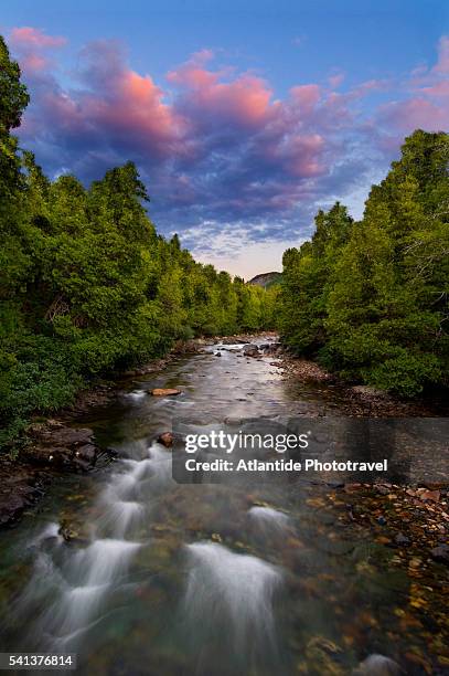 gaspesie provincial park, sainte anne river - gaspe peninsula stock pictures, royalty-free photos & images