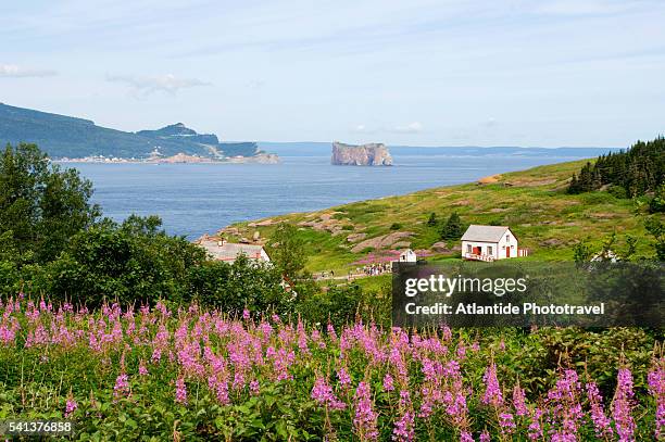 bonaventure island and perce rock national park - perce rock stock pictures, royalty-free photos & images