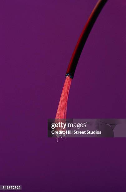 fiber optic cable - fiber optic stock pictures, royalty-free photos & images