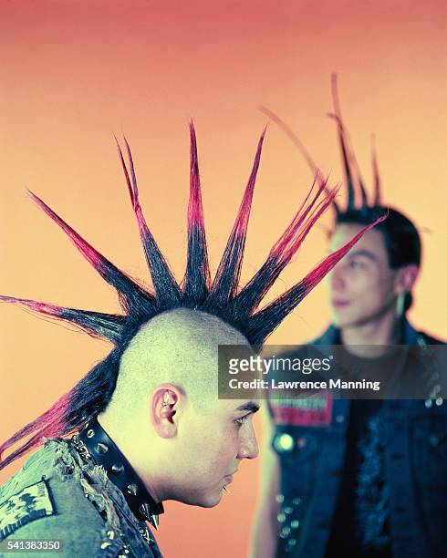 punks with mohawks - capelli alla moicana foto e immagini stock