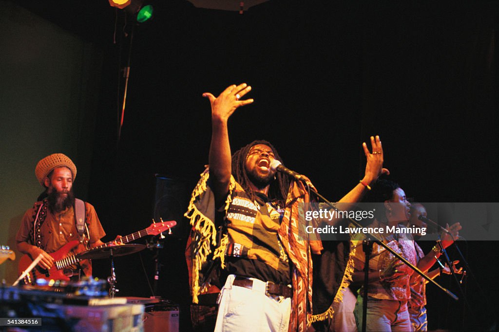 Musicians Performing in Reggae Band