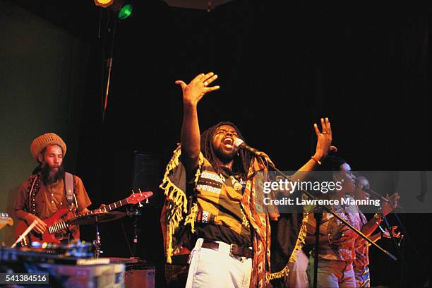 musicians performing in reggae band - reggae stock pictures, royalty-free photos & images