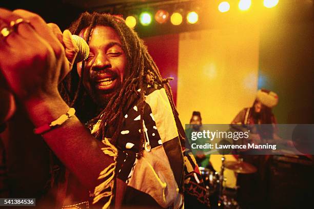 reggae band performing - reggae stock pictures, royalty-free photos & images