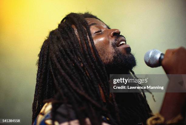 dreadlocked man singing - reggae stock pictures, royalty-free photos & images