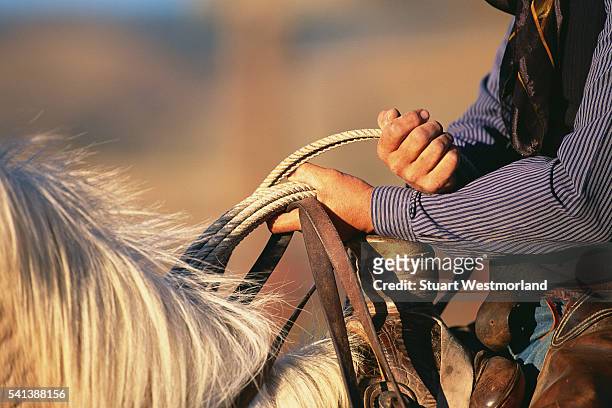 cowboy's hands and horse's mane - holding horse stockfoto's en -beelden