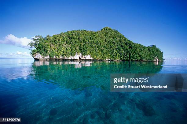 island reflected on the pacific ocean - palau photos et images de collection