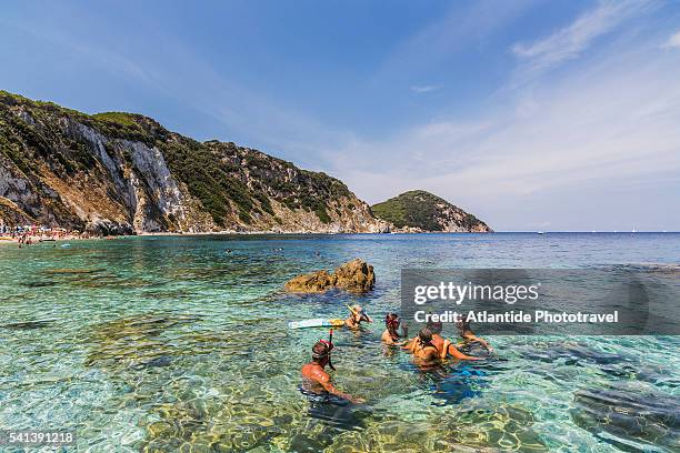 elba island - snorkeling near sansone beach - portoferraio stock pictures, royalty-free photos & images