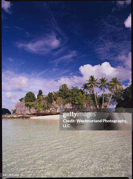 beach on the rock islands of palau - palau stock-fotos und bilder