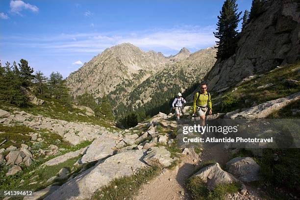 parc national du mercantour - mercantour stockfoto's en -beelden