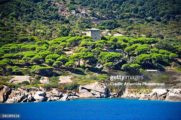 coast of isola del giglio - giglio - fotografias e filmes do acervo