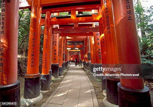 fushimiinari-ginja temple - fushimi inari schrein stock-fotos und bilder