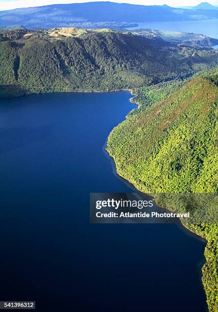 lake rotokakahi on new zealand's north island - rotorua stock pictures, royalty-free photos & images