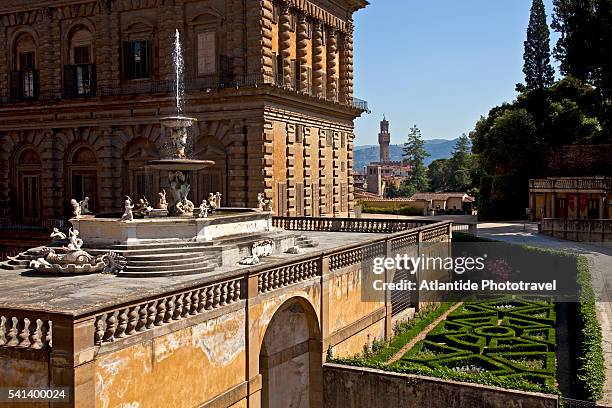 palazzo pitti and boboli gardens - palazzo pitti fotografías e imágenes de stock