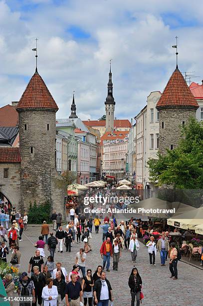 viru street in tallinn, estonia - viru viru stock pictures, royalty-free photos & images