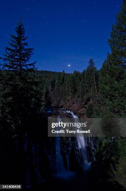 104 Monte Burney Stock Photos, HighRes Pictures, and Images Getty Images