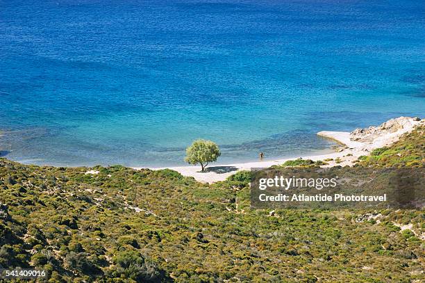 beach on patmos island near panaghia geranoia - mar egeo fotografías e imágenes de stock