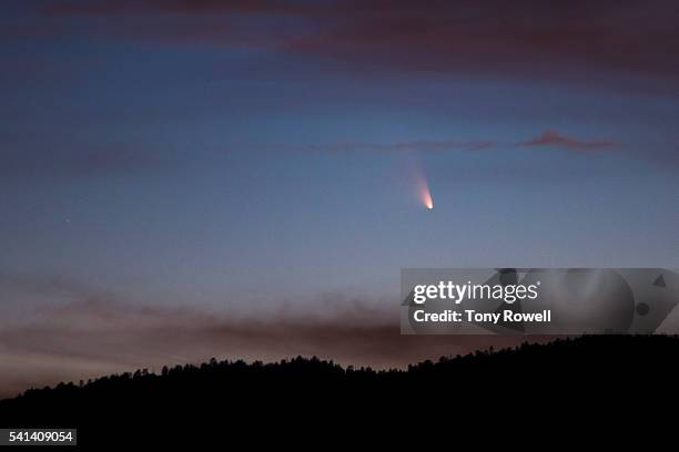 Pan Starrs Photos and Premium High Res Pictures Getty Images