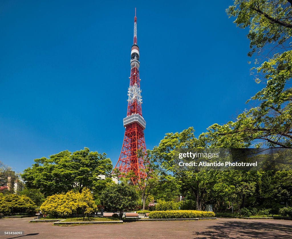 View of the Tokyo Tower
